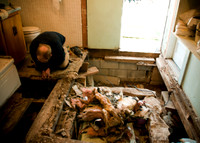 more rotten nasty mess