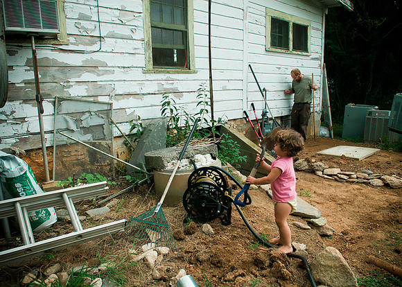 the garden before