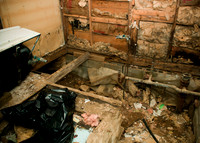 behind the moldy walls, rat infested insulation