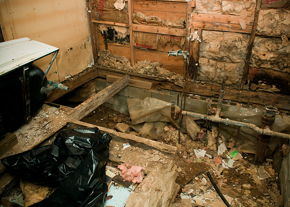behind the moldy walls, rat infested insulation